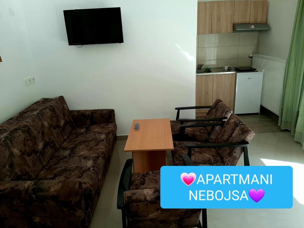 Apartments Nebojsa Сокобаня Екстер'єр фото