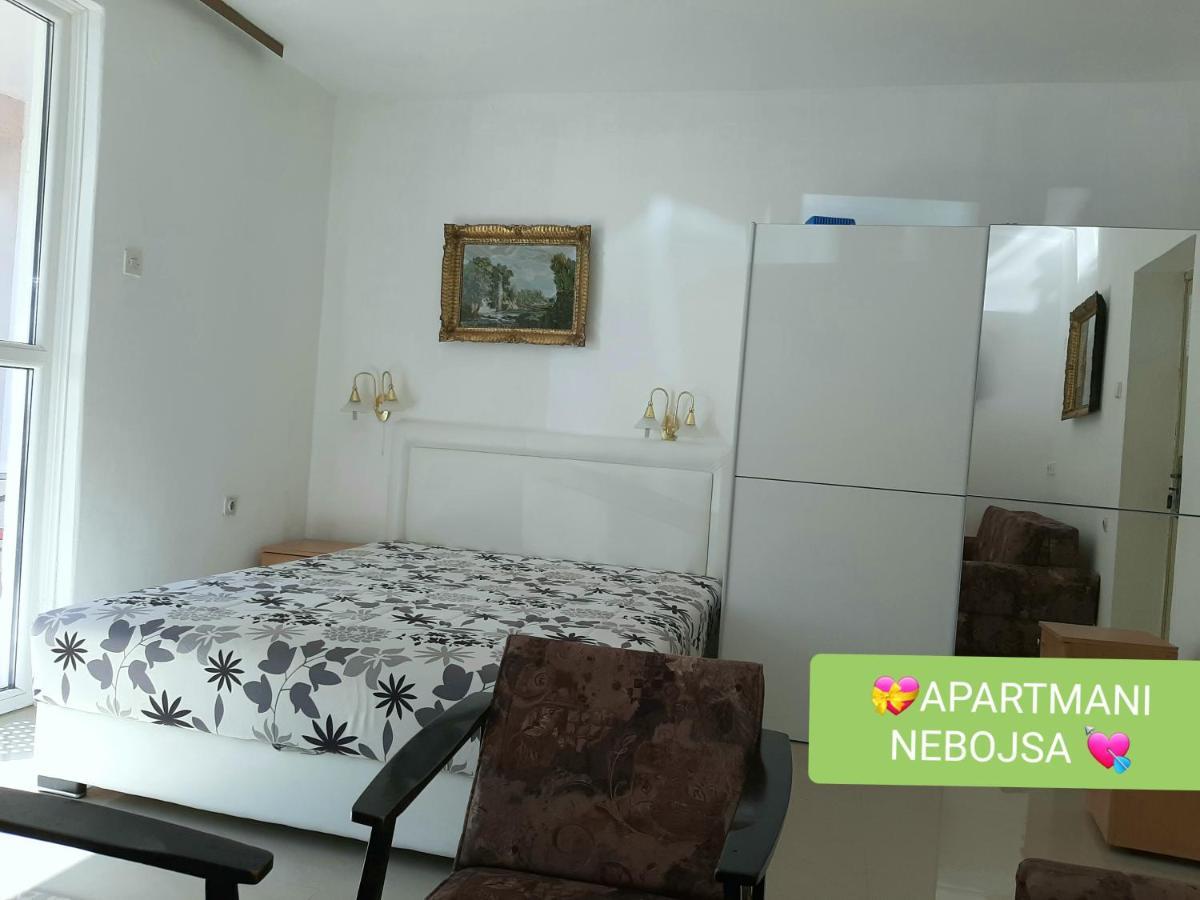 Apartments Nebojsa Сокобаня Екстер'єр фото