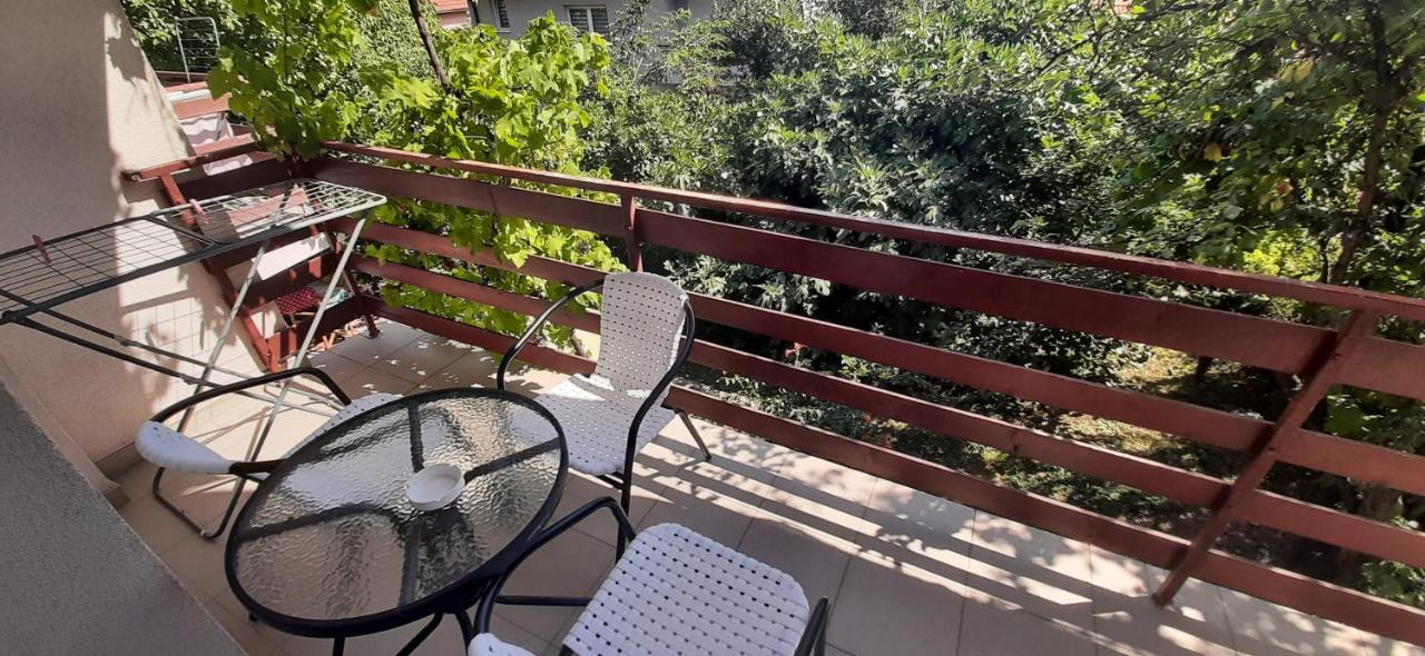 Apartments Nebojsa Сокобаня Екстер'єр фото