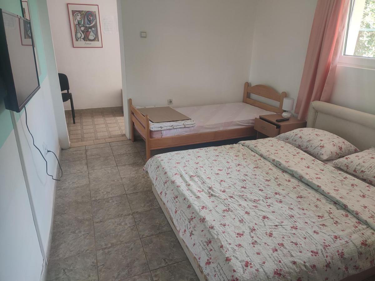 Apartments Nebojsa Сокобаня Екстер'єр фото